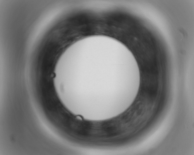 X0000114240766200910231524