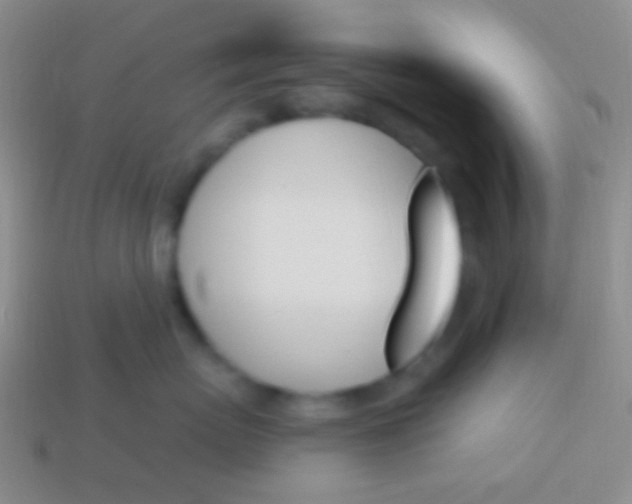X0000114240767200910231524