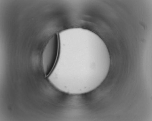 X0000114240768200910231524