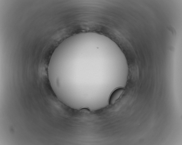 X0000114240770200910231523