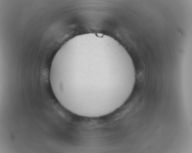 X0000114240772200910231523