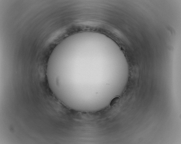 X0000114240774200910231523