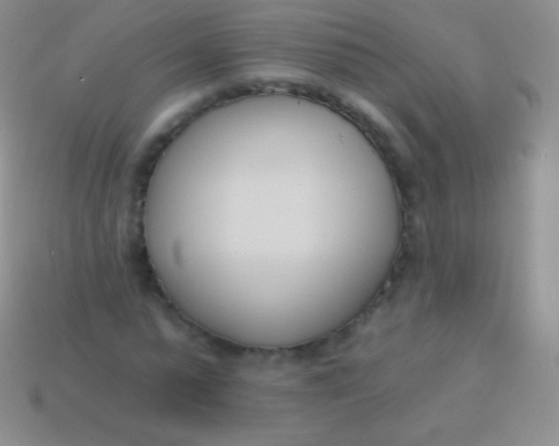 X0000114240775200910231523