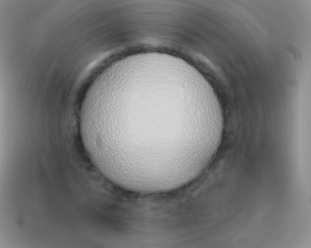 X0000114240776200910231523
