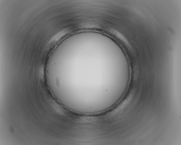 X0000114240777200910231523