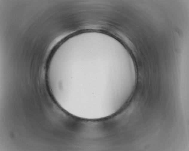 X0000114240779200910231523
