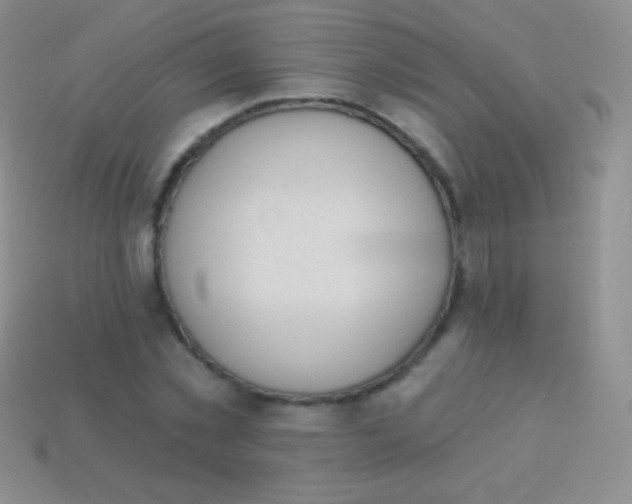 X0000114240781200910231523