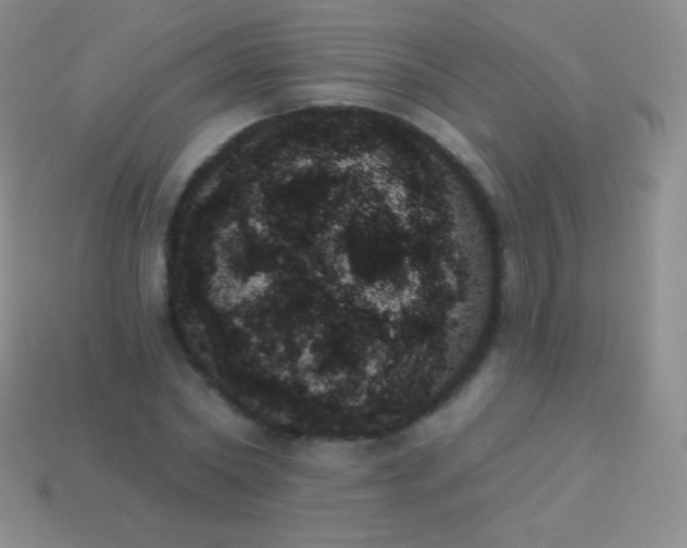X0000114240782200910231523