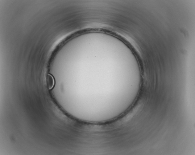 X0000114240783200910231523