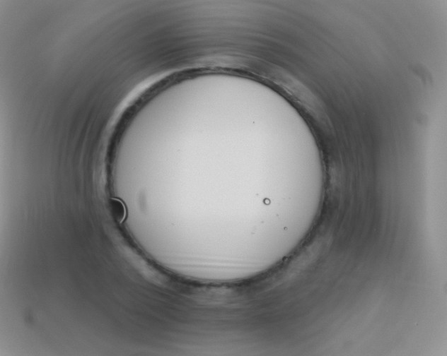 X0000114240784200910231523