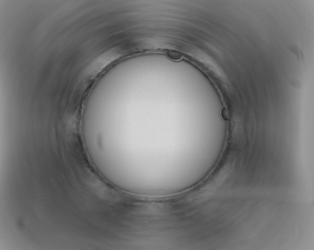 X0000114240785200910231523
