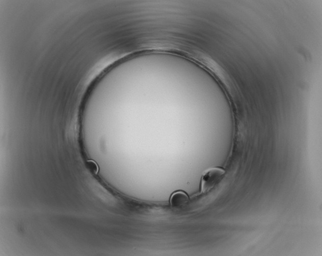 X0000114240787200910231523