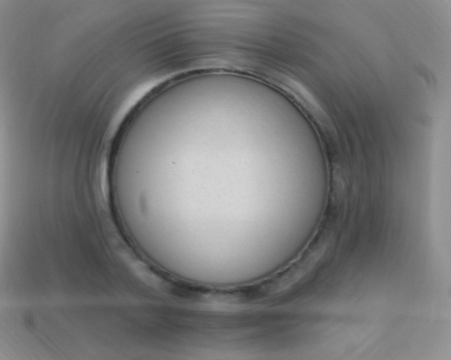 X0000114240788200910231523