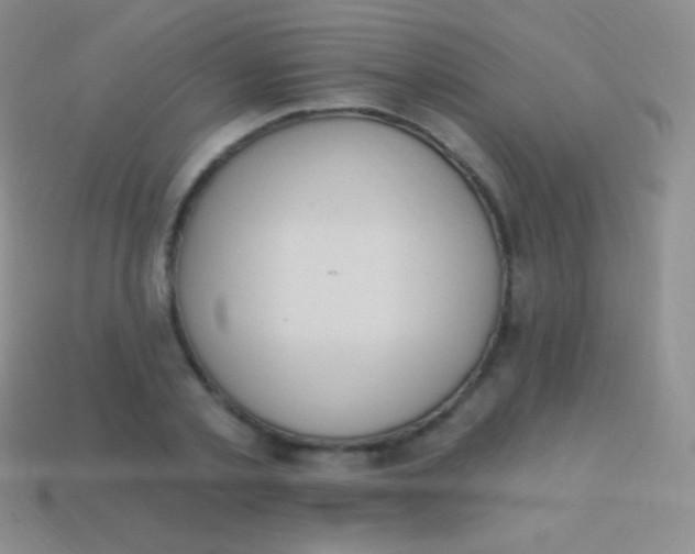 X0000114240789200910231523