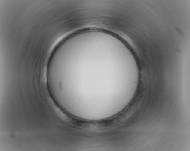 X0000114240791200910231523