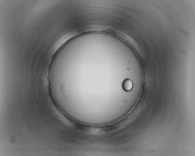 X0000114240794200910231523