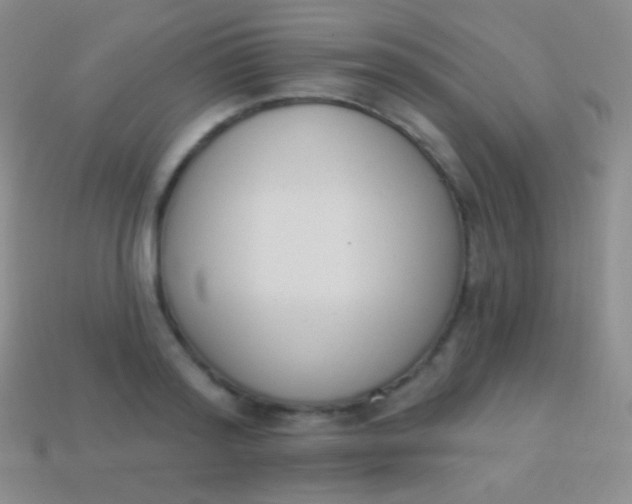 X0000114240796200910231523