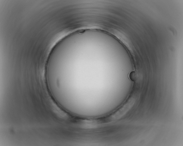 X0000114240797200910231523
