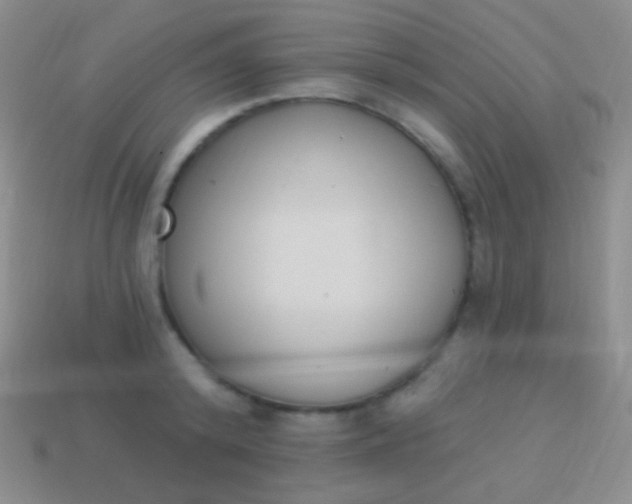 X0000114240800200910231523
