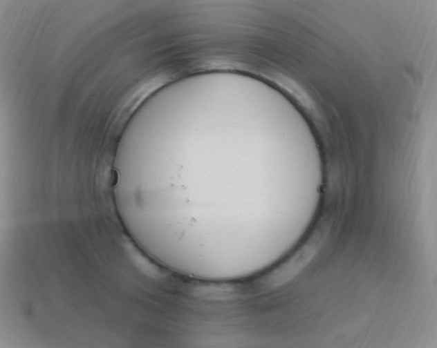 X0000114240801200910231523