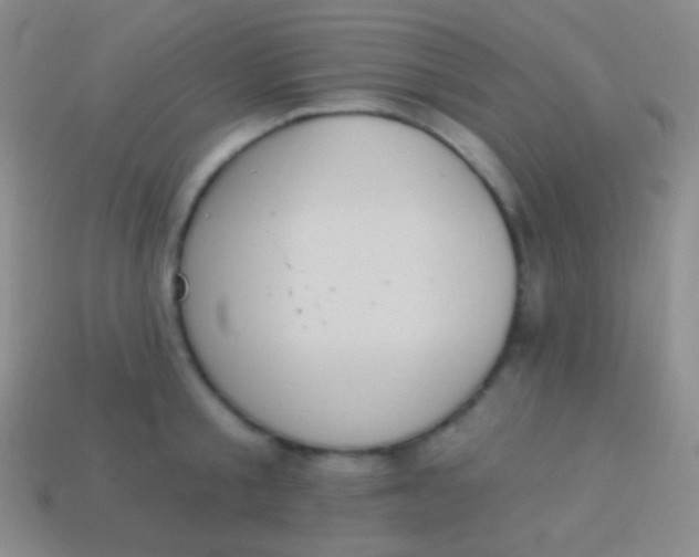 X0000114240805200910231523