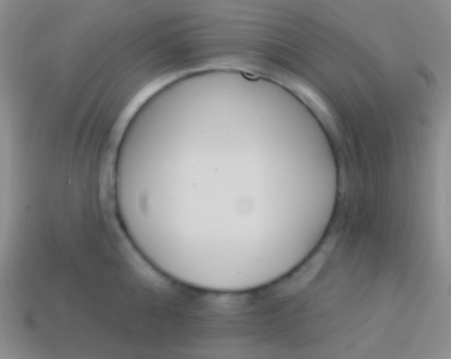 X0000114240808200910231523