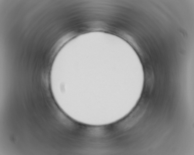 X0000114240810200910231523