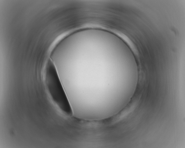 X0000114240815200910231523