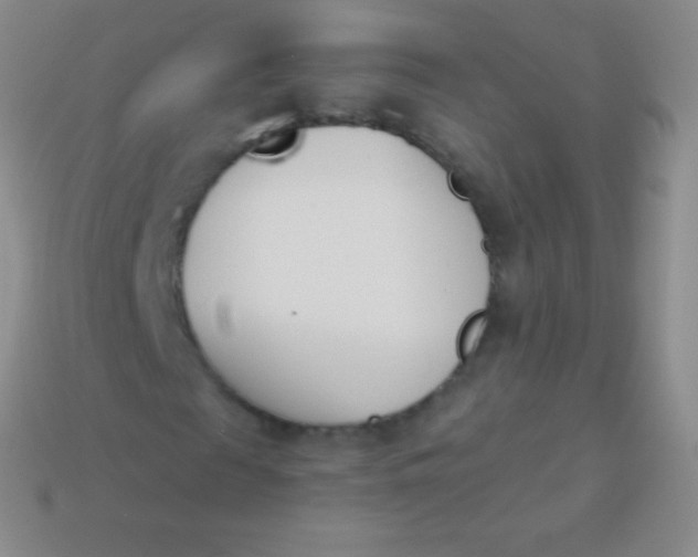 X0000114240817200910231522