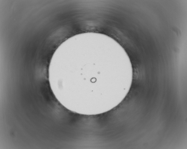 X0000114240820200910231522