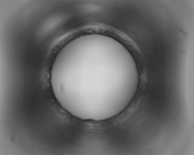 X0000114240822200910231522
