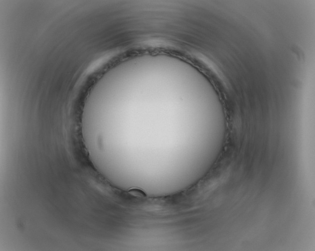 X0000114240823200910231522