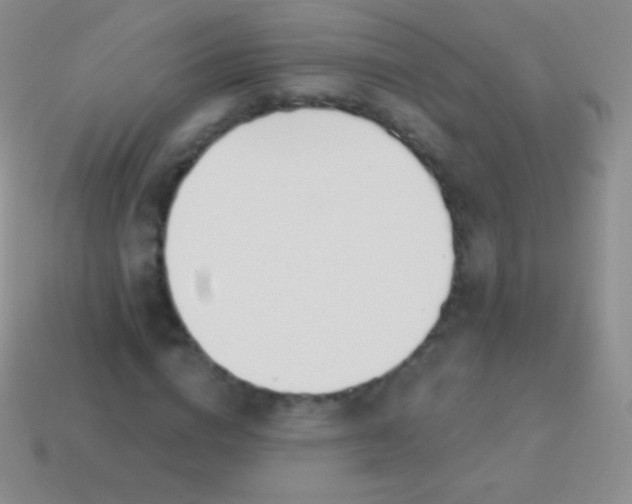 X0000114240824200910231522