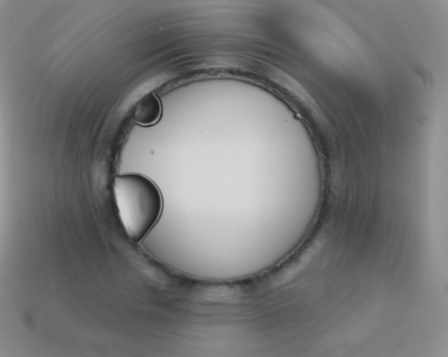 X0000114240826200910231522