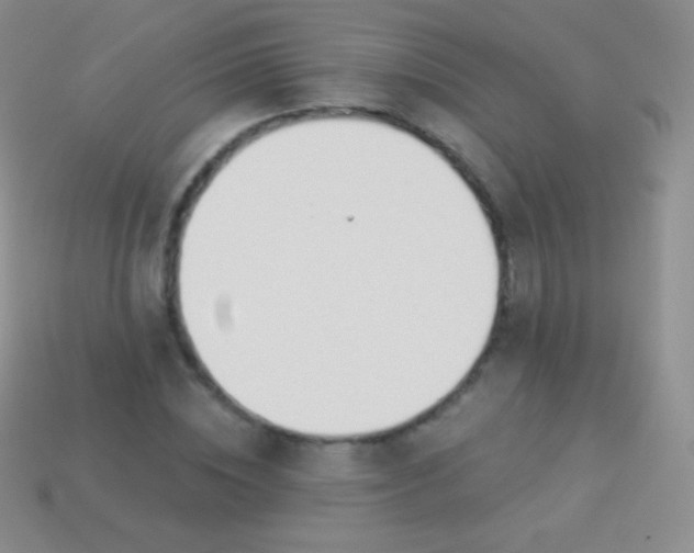 X0000114240828200910231522