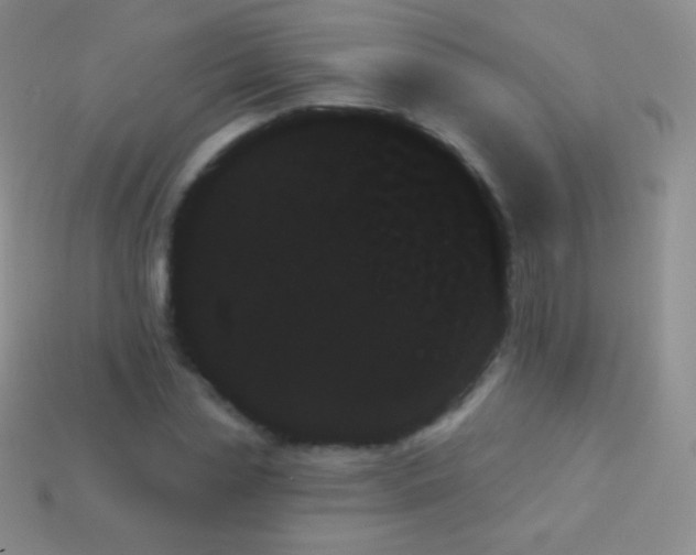 X0000114240829200910231522