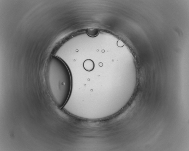 X0000114240831200910231522