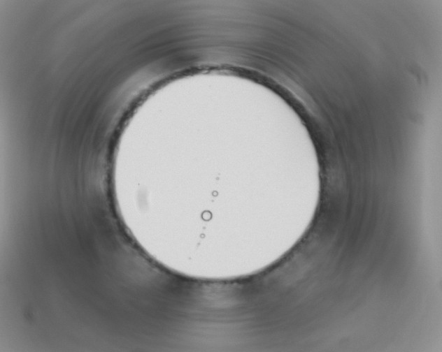 X0000114240832200910231522