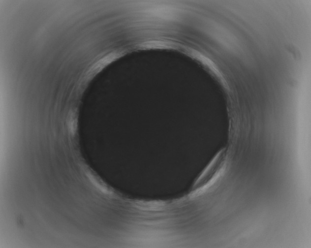 X0000114240833200910231522