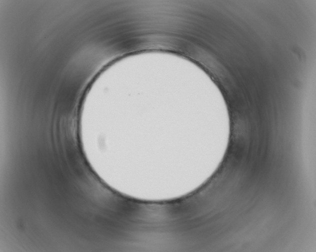 X0000114240836200910231522