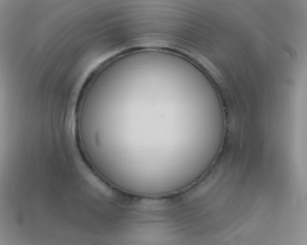 X0000114240840200910231522