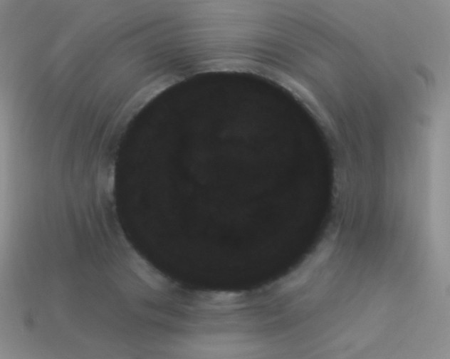 X0000114240841200910231522