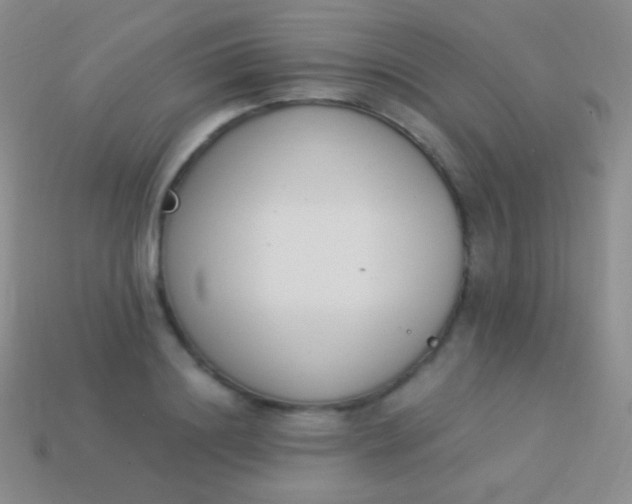 X0000114240844200910231522