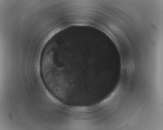 X0000114240845200910231522