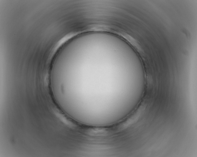 X0000114240846200910231522