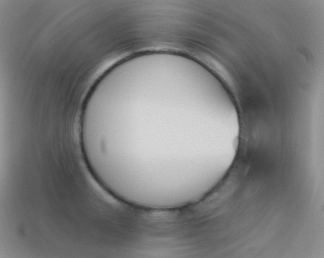 X0000114240847200910231522