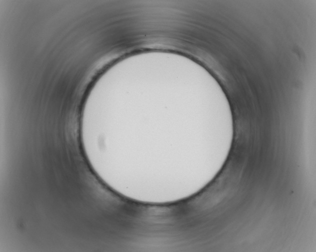 X0000114240848200910231522