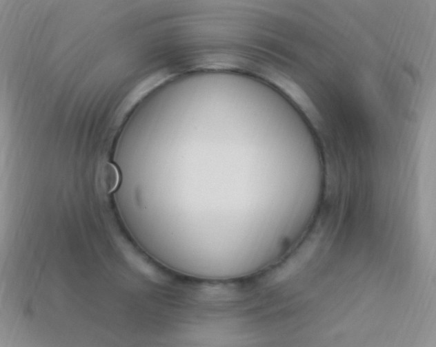 X0000114240850200910231522
