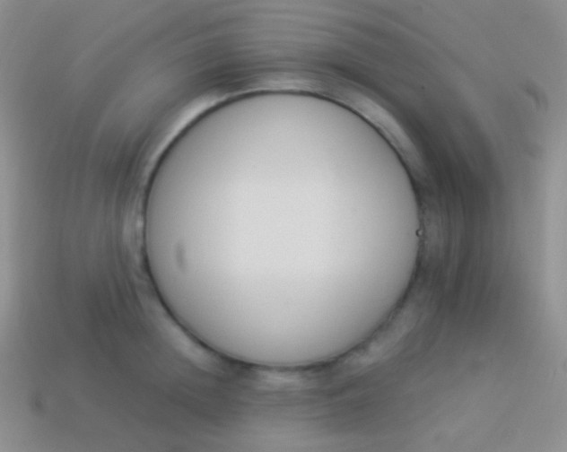 X0000114240852200910231522
