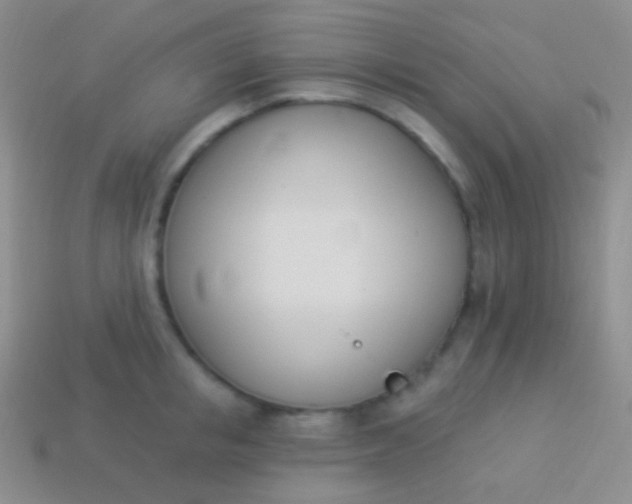 X0000114240853200910231522